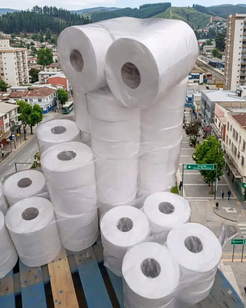 Papel higiénico jumbo 300 mts