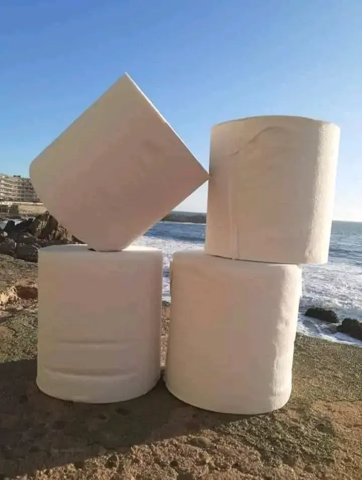 Toalla de papel 200 mts 4 rollos