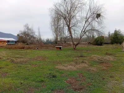 Terreno de 7200 m2 en Coltauco - miniatura 3