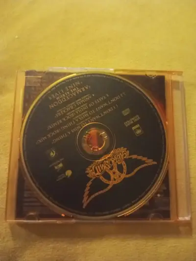 CD Single Aerosmith - I Don't Want To Miss A Thing - miniatura 2