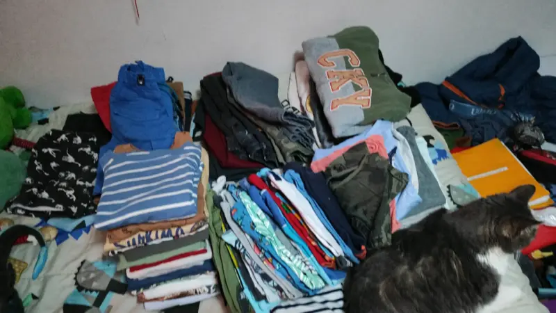 Lote de ropa variada para niños y adultos