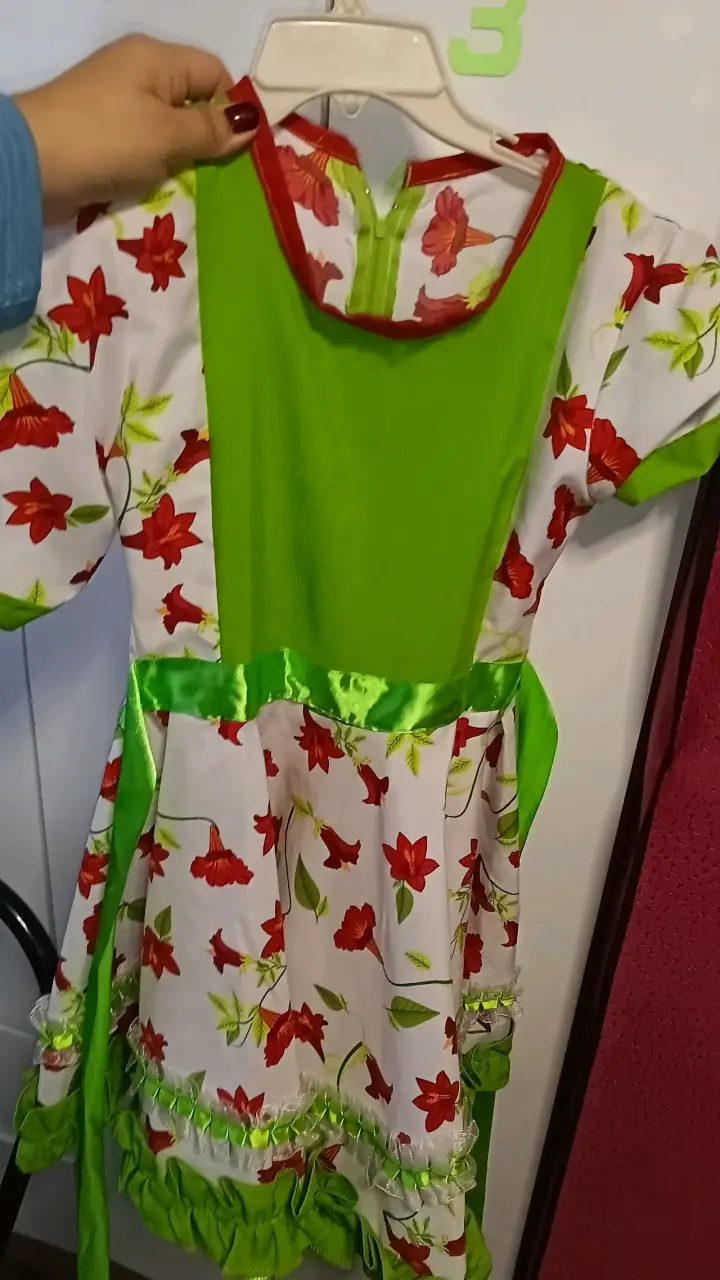 Vestido folclórico infantil con flores rojas