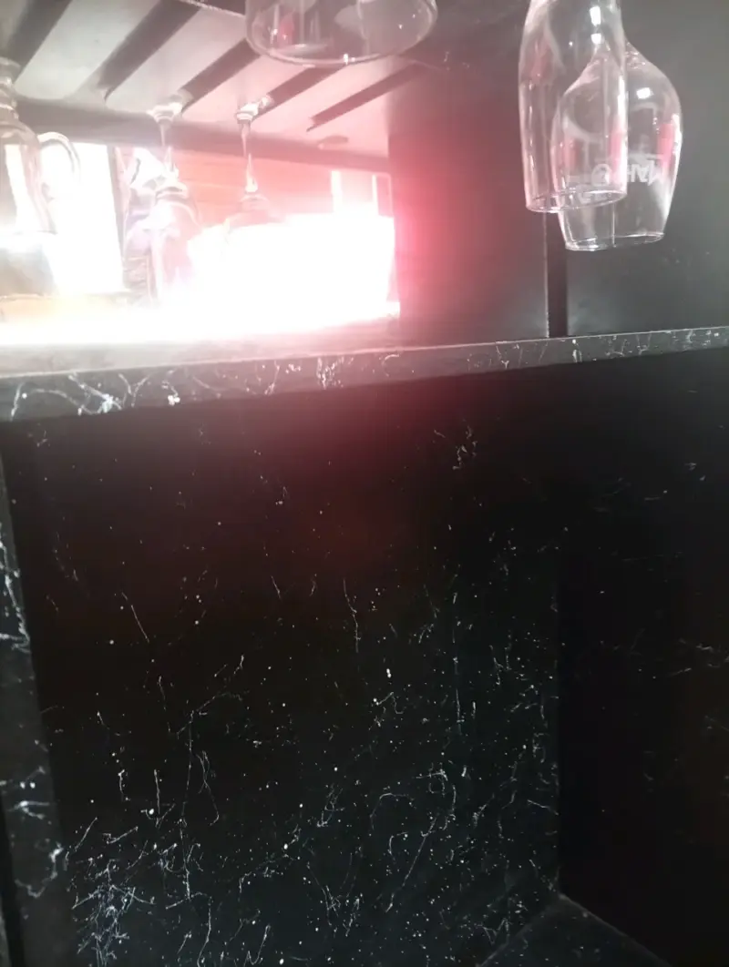 Bar de Madera Negro con Puertas de Vidrio - 6