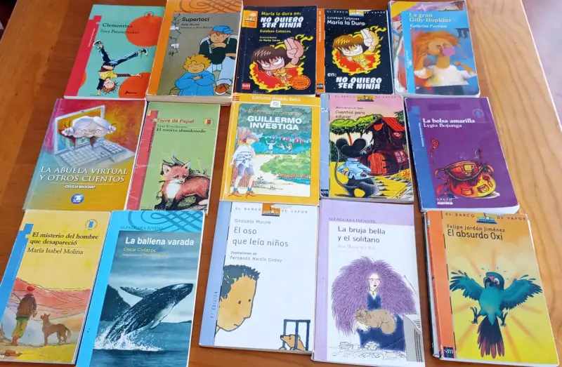 Lote de libros infantiles y juveniles variados
