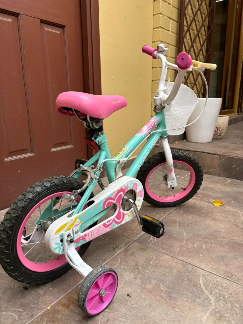 Bicicleta infantil Ozark Trail con rueditas y canasto - 3