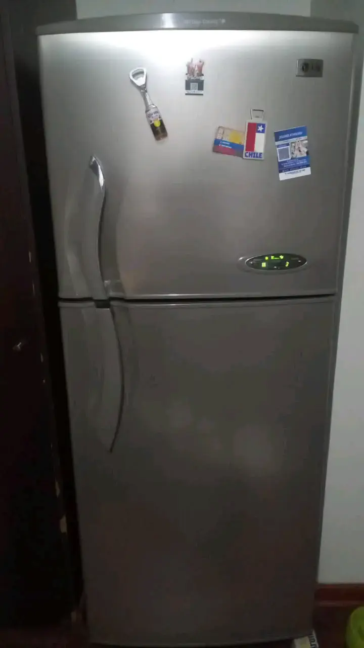 Refrigerador LG de 2 puertas - 1