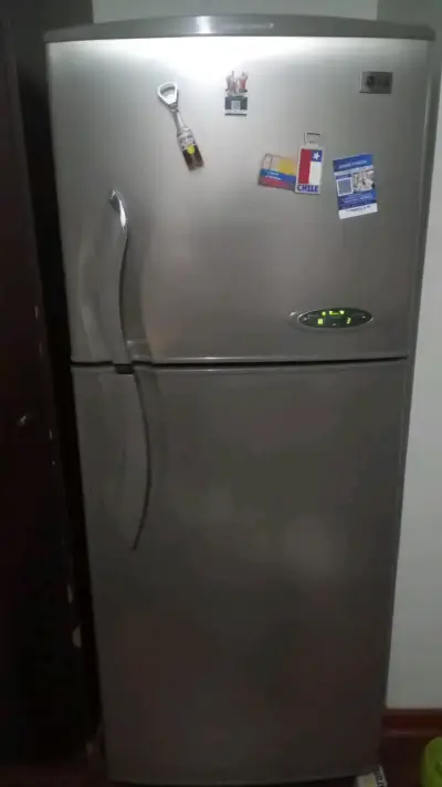 Refrigerador LG de 2 puertas - miniatura 1