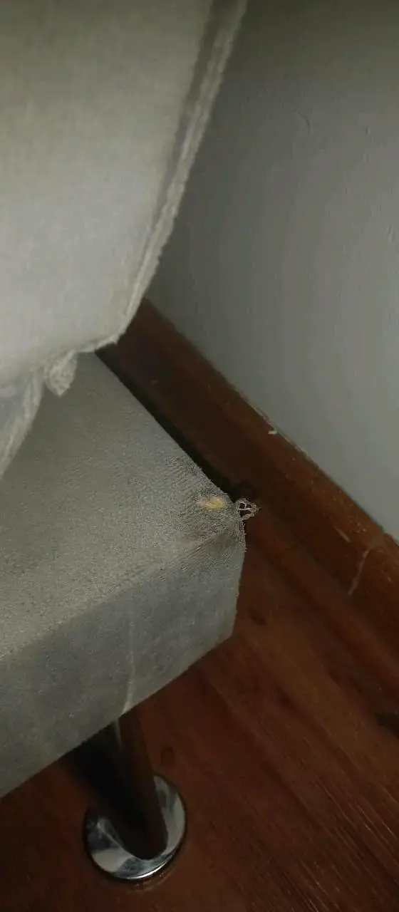 Sofá cama gris con cojines con dos puff - 2