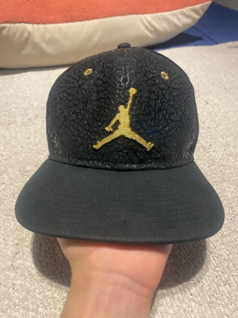Jordan retro elephant print 2015 - 1