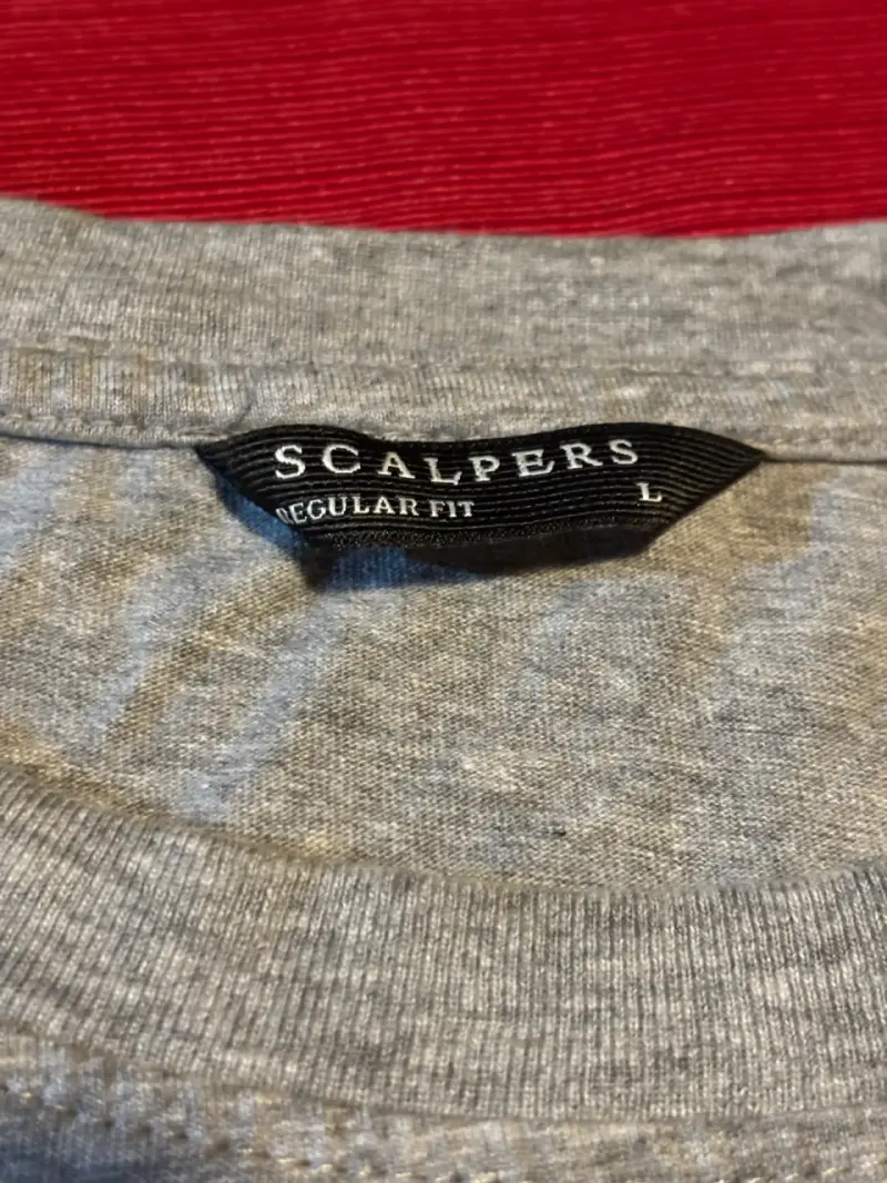 Polera gris Scalpers L - 2