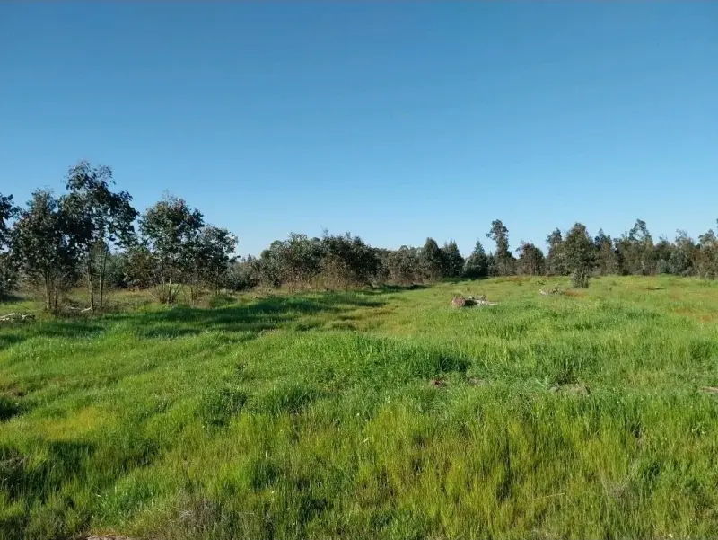 Venta de parcela - 5
