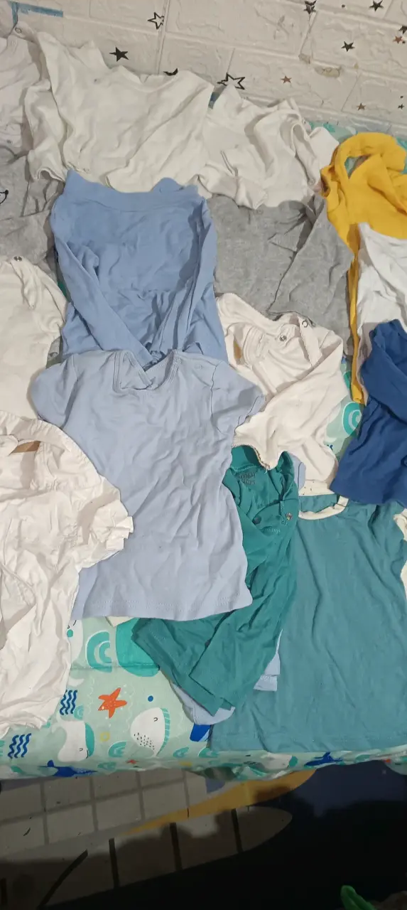 Lote de bodies, poleras manga larga y corta - 2