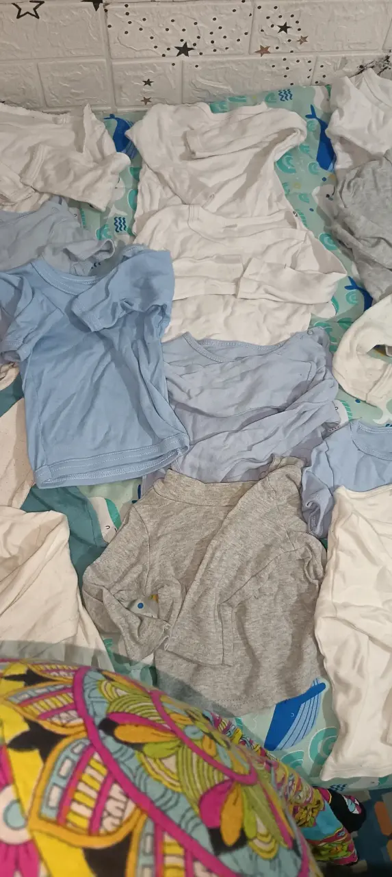Lote de bodies, poleras manga larga y corta - 5