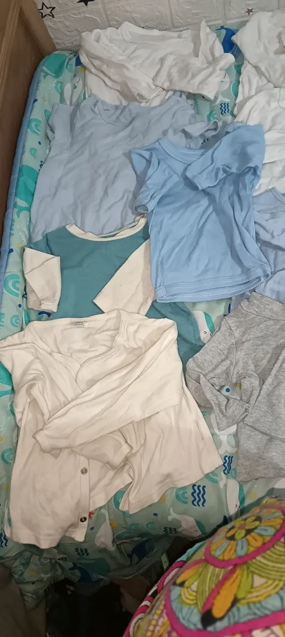 Lote de bodies, poleras manga larga y corta - 6