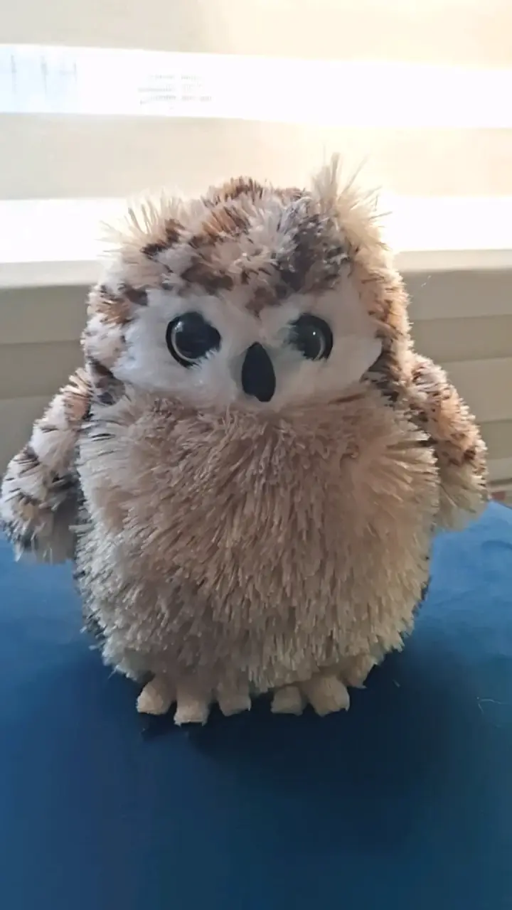 Set de peluches de animales variados - 2