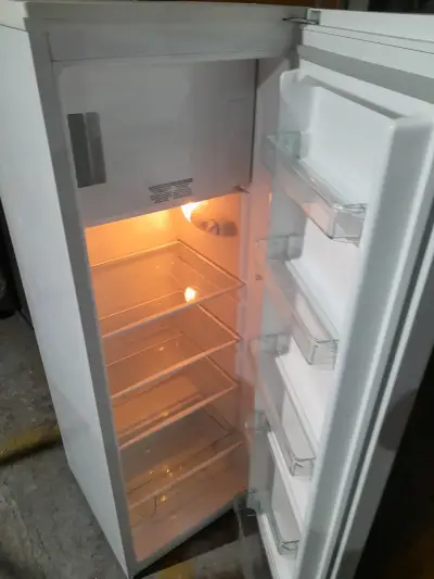 Refrigerador Electrolux de una puerta buen estado - miniatura 2