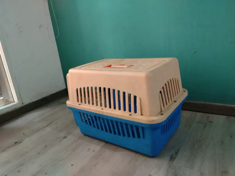 CANIL GRANDE /Transportadora de mascotas plástica - 3