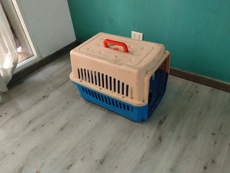CANIL GRANDE /Transportadora de mascotas plástica - 4