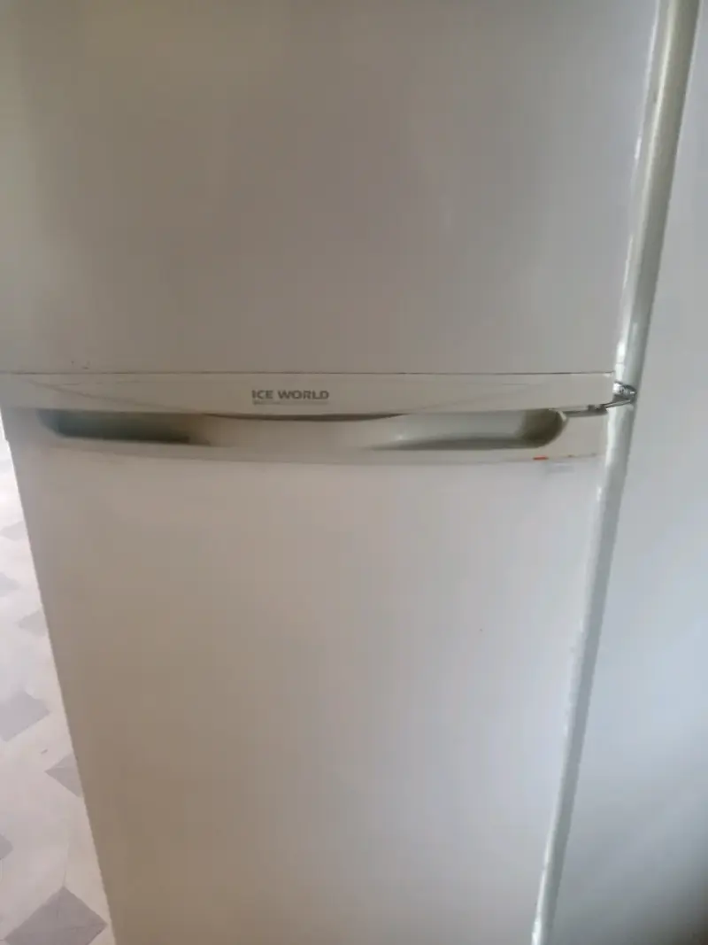 Refrigerador Samsung Ice World con Congelador - 3