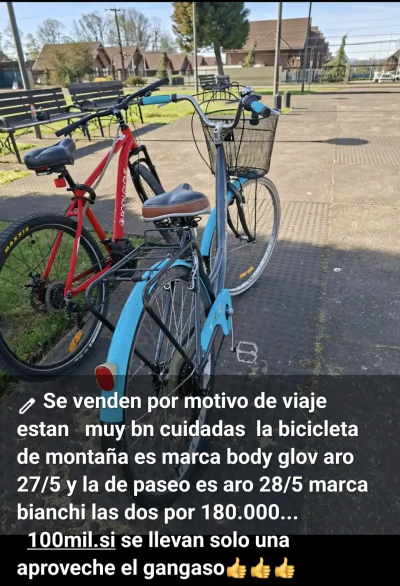 Bicicleta de Paseo Bianchi Aro 28/5 Azul - 1