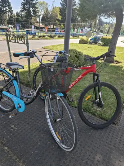 Bicicleta de Paseo Bianchi Aro 28/5 Azul - miniatura 2