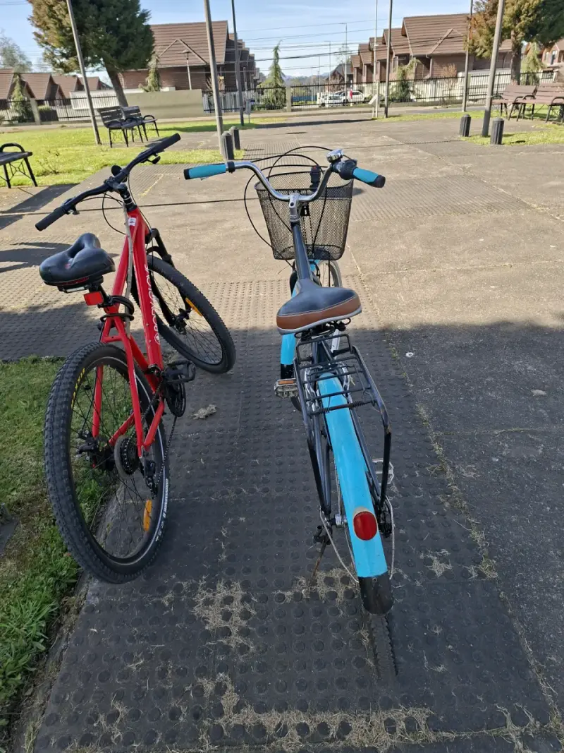 Bicicleta de Paseo Bianchi Aro 28/5 Azul - 3