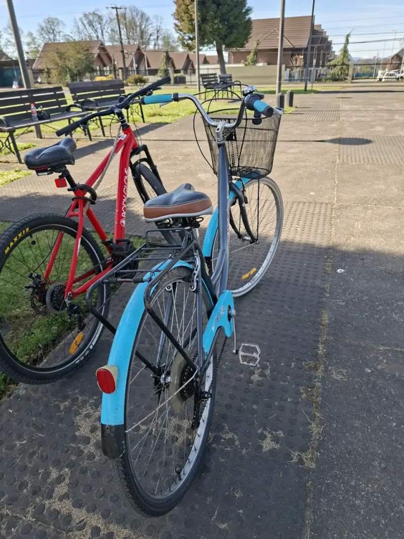 Bicicleta de Paseo Bianchi Aro 28/5 Azul - 4