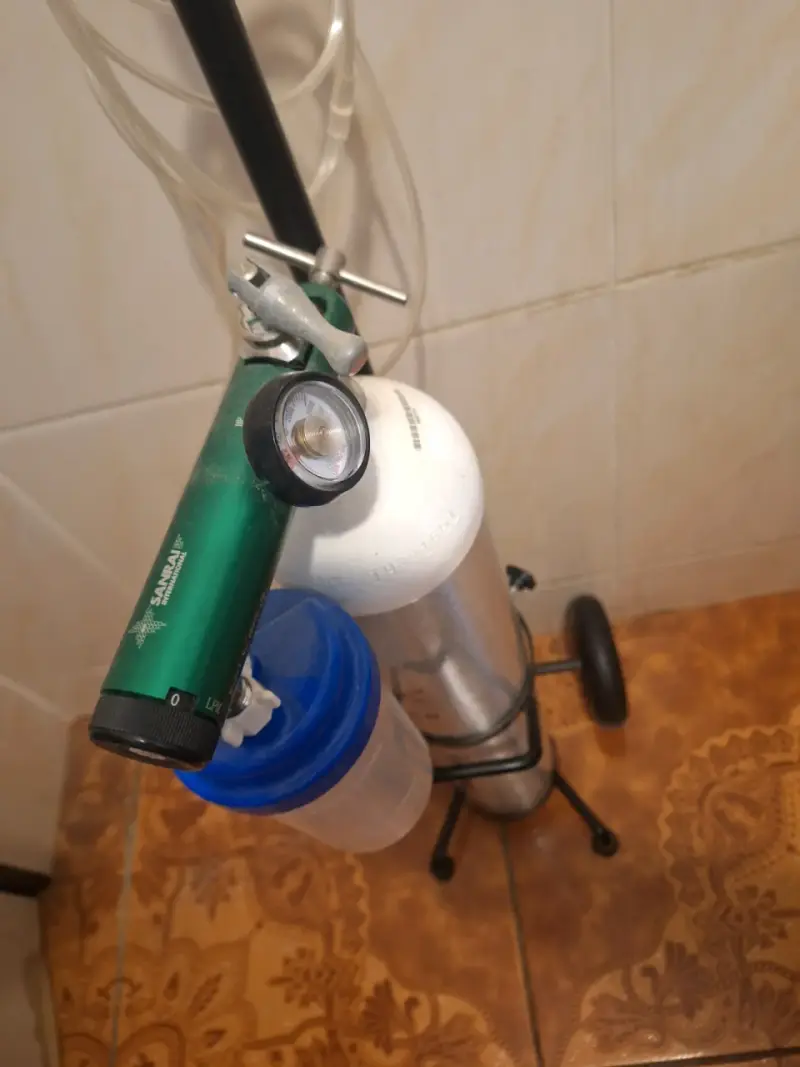 Cilindro de oxígeno portátil con carrito - 2