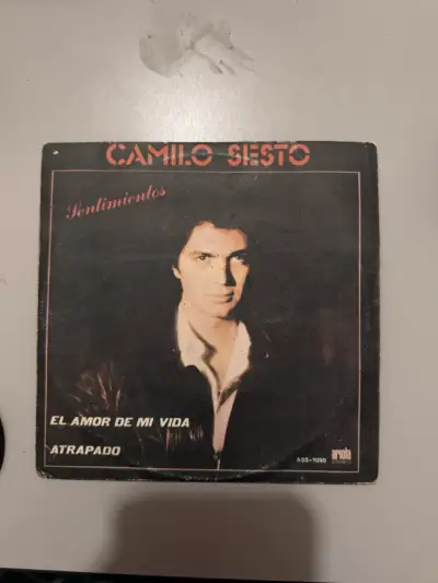 Single Camilo Sesto - Sentimientos - miniatura 1