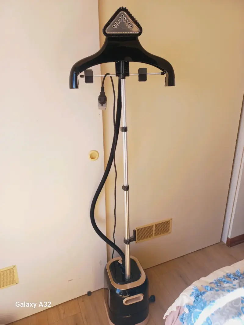 Plancha a vapor vertical Rowenta - 1