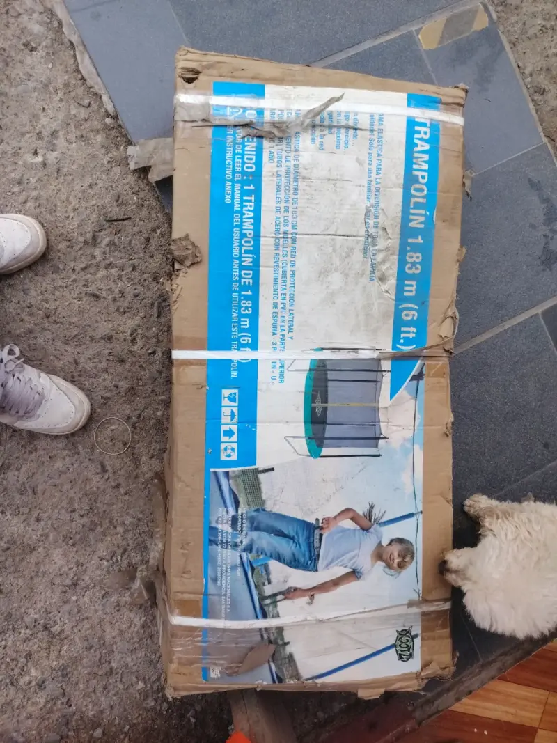 Trampolín de 183 cm con red de seguridad - 4