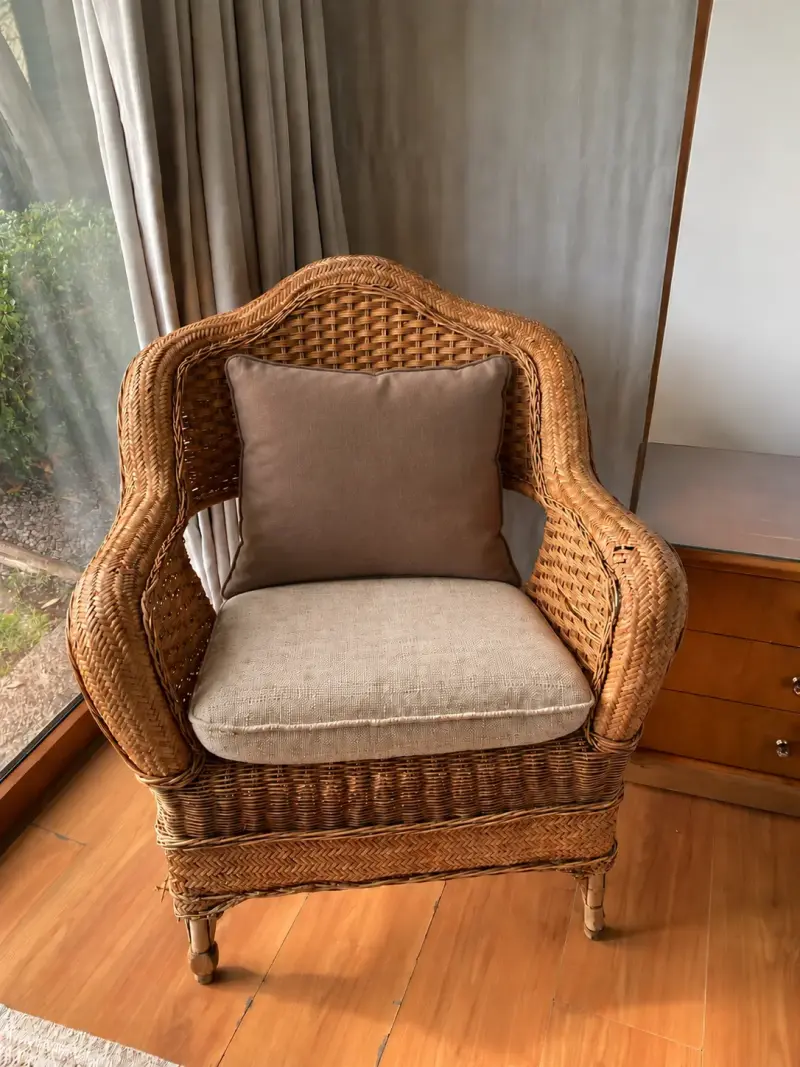 Sillón de mimbre con cojines - 1