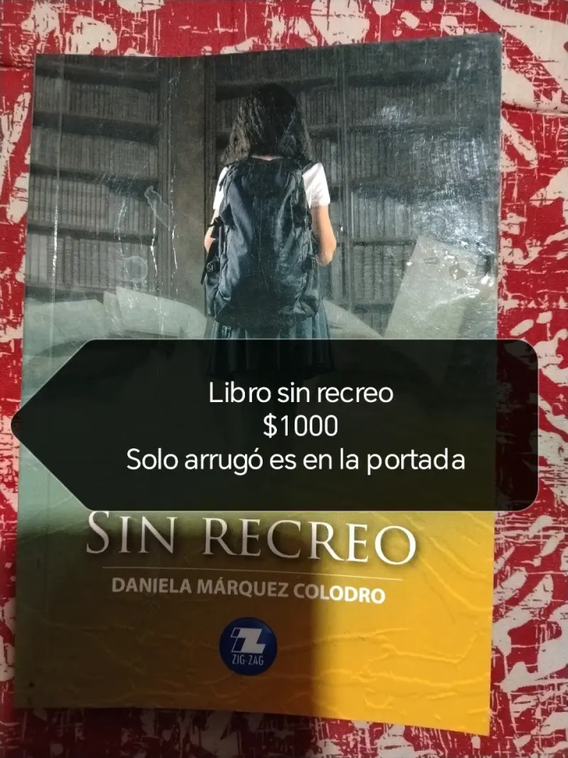 Libro 'Sin Recreo' de Daniela Márquez Colodro