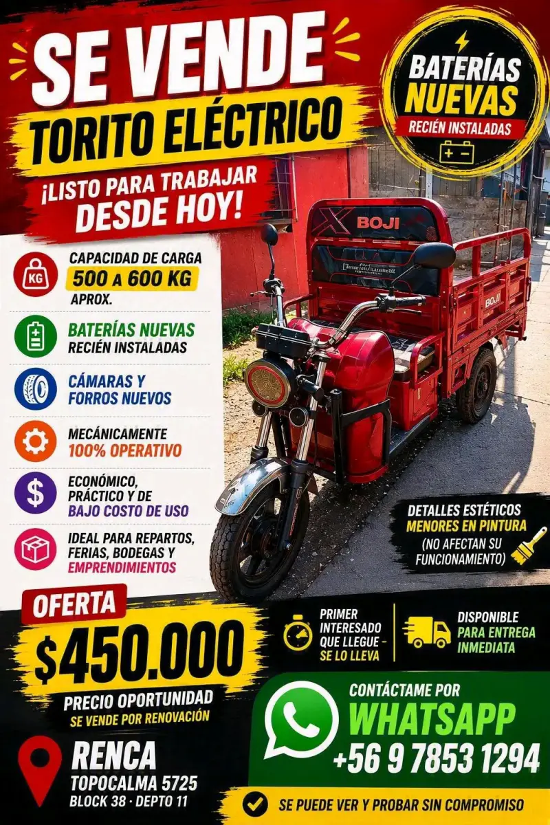 Torito Eléctrico Boji con Baterías Nuevas