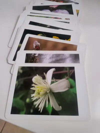 Tarjetas de Flores de Bach Sylfos - miniatura 1
