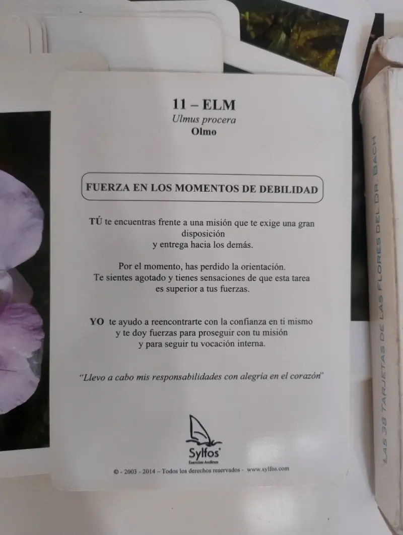 Tarjetas de Flores de Bach Sylfos - 3