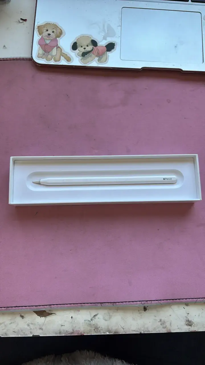 Apple Pencil de segunda generación en buen estado - 1
