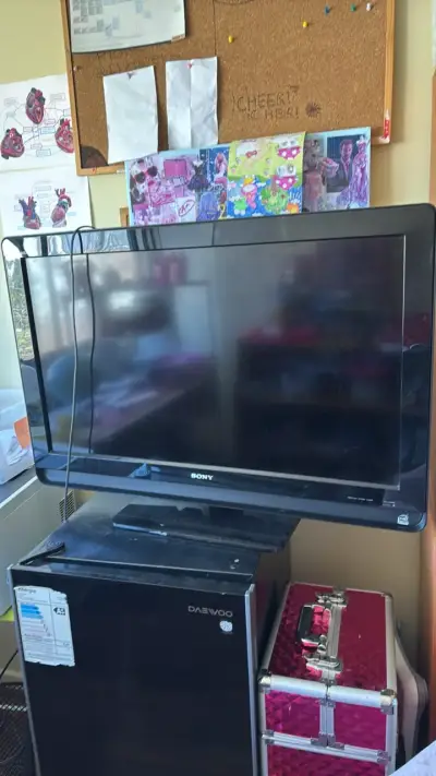 Televisor Sony LCD 37 pulgadas modelo KDL-37M4000 - miniatura 1