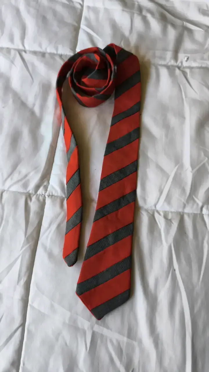 Corbata de rayas rojas y gris elegante