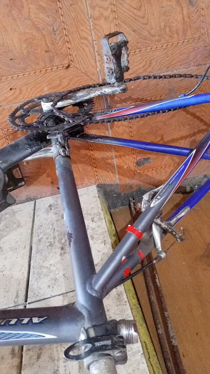 Marco de bicicleta Bianchi Corsa de aluminio - 5
