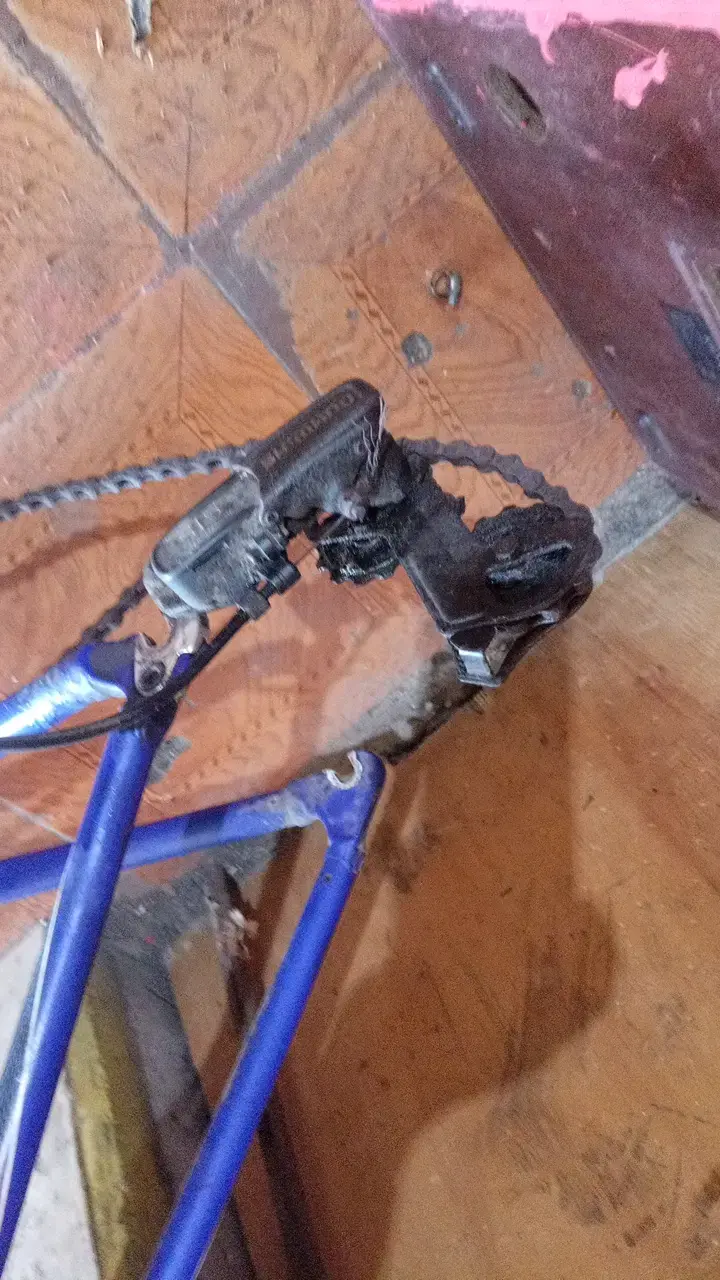 Marco de bicicleta Bianchi Corsa de aluminio - 6