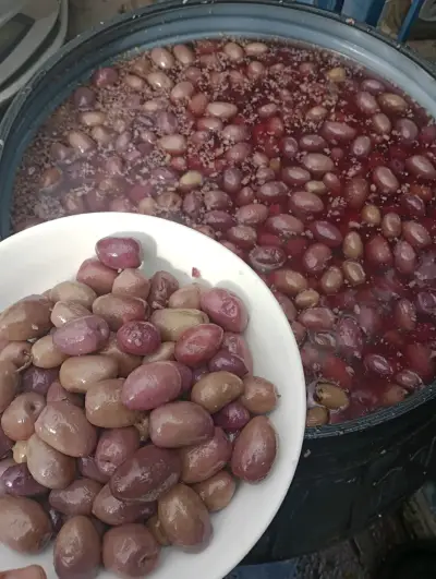 Aceitunas de azapa - miniatura 1
