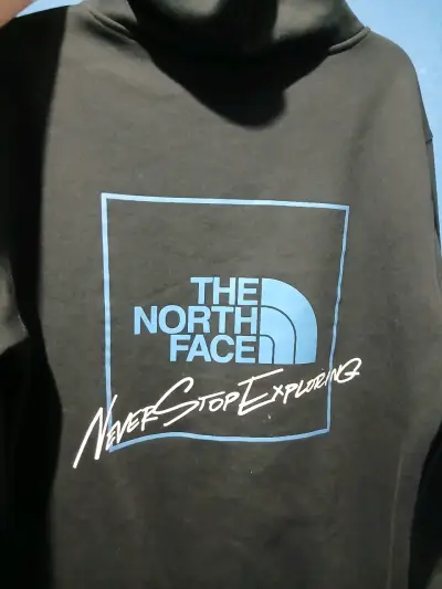 Polerón con capucha The North Face negro - miniatura 5