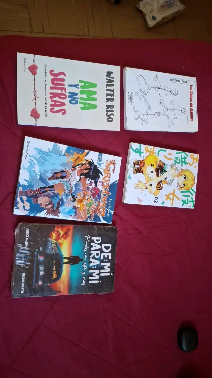 Lote de libros variados de autores reconocidos - 1