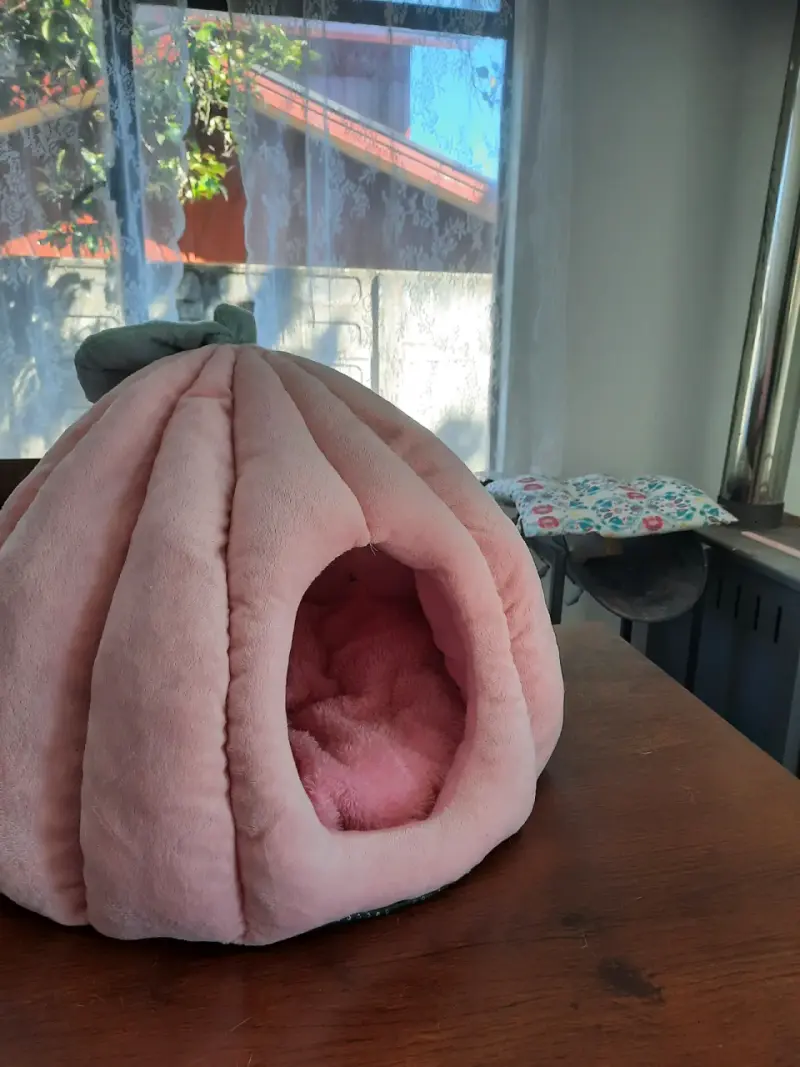 Cama para mascotas en forma de calabaza rosa M - 1