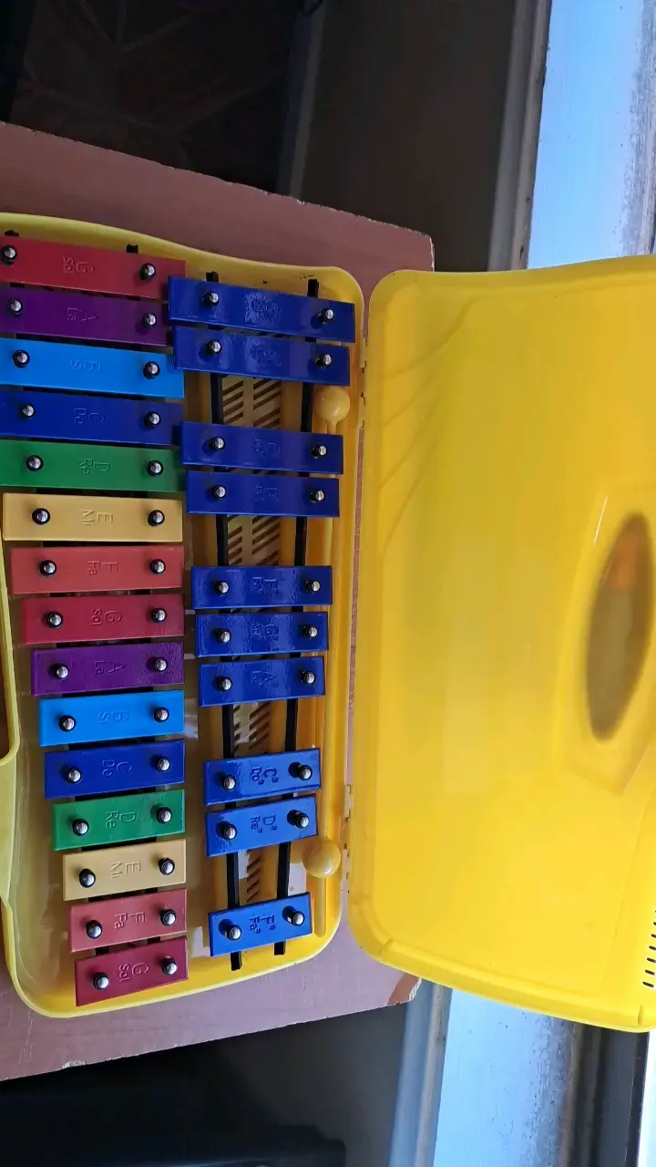 Xilófono infantil Baldassare Kids con estuche amarillo - 2