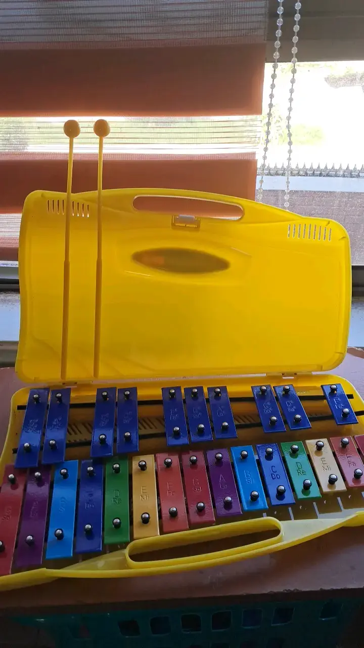 Xilófono infantil Baldassare Kids con estuche amarillo - 3