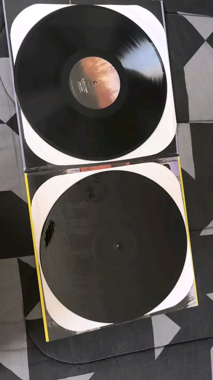 Vinilo Temple of the Dog Edición Especial - 4
