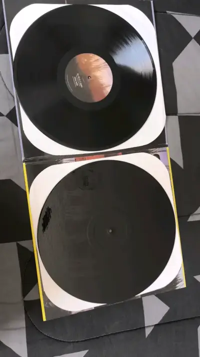 Vinilo Temple of the Dog Edición Especial - miniatura 4