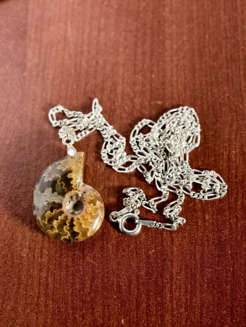 Collar de plata  con colgante de fósil de amonita